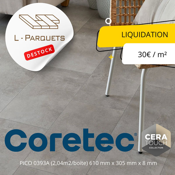 promo-7 liquidation Coretec